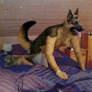 Meet your Posher, Donovan